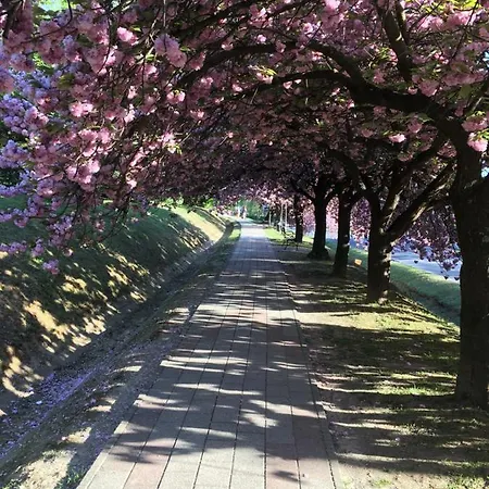 Gitta Apartmanhaz * Zalakaros