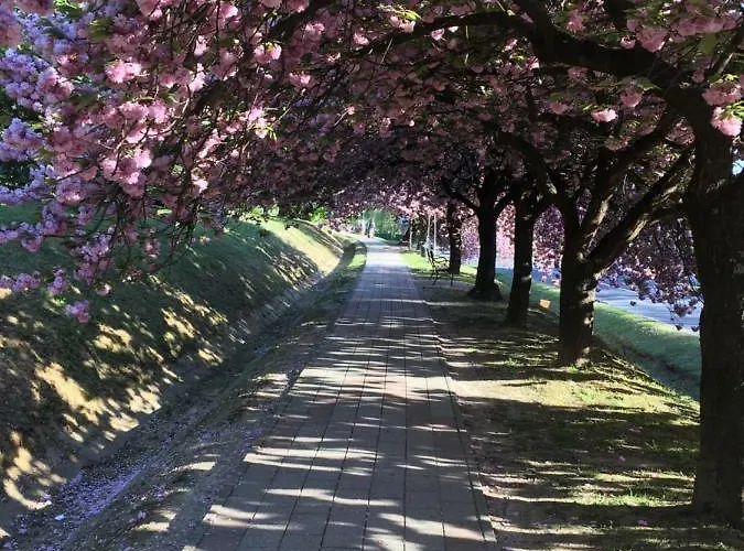 Gitta Apartmanhaz * Zalakaros